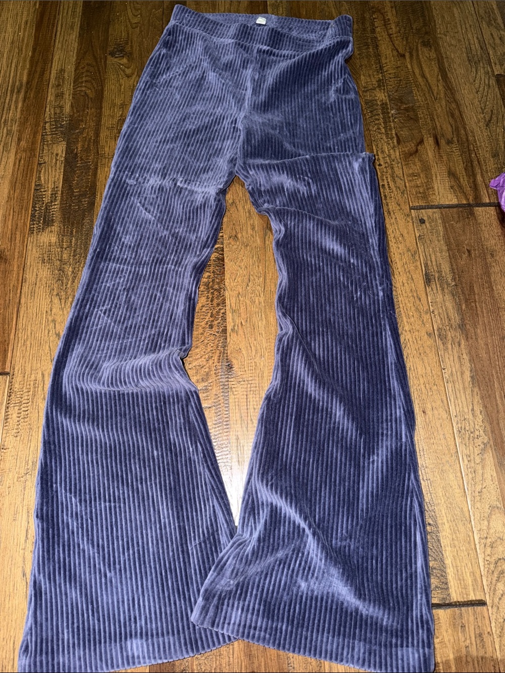 aerie Velvet Corduroy Flare Joggers in Deep Blue